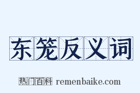 东笼反义词是什么意思的图片